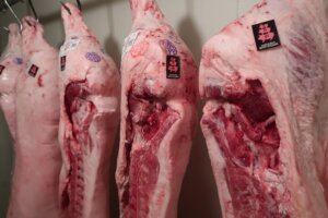 枝肉（林SPF） ｜ 食肉学校（集中講座） ｜ 千葉県の精肉・加工品なら和喜多