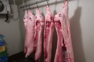 枝肉（林SPF） ｜ 食肉学校（集中講座） ｜ 千葉県の精肉・加工品なら和喜多