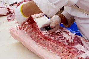 脱骨加工 ｜ 食肉学校（集中講座） ｜ 千葉県の精肉・加工品なら和喜多